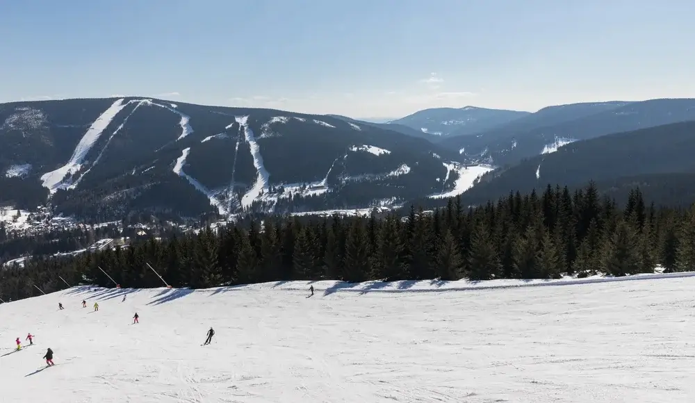 Skiløbere på en bred piste med udsigt over pistesporene i bjergene