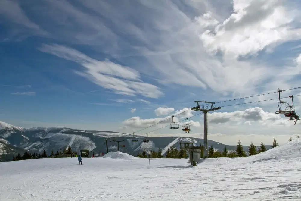 Skilift gennem et snedækket skovområde