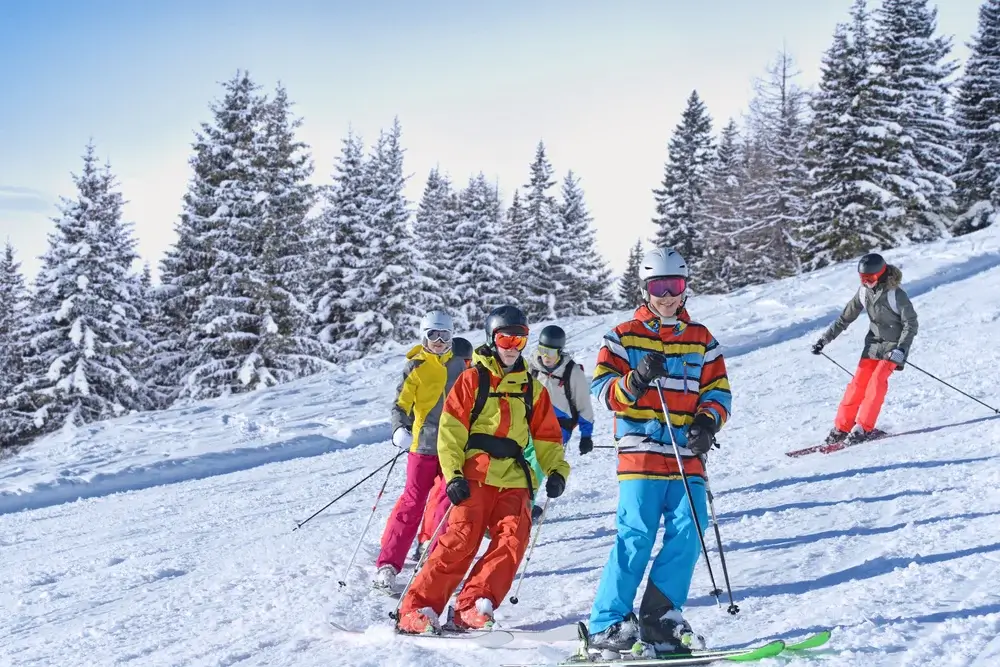 Gruppe unge på ski i pisten, omgivet af snedækkede grantræer